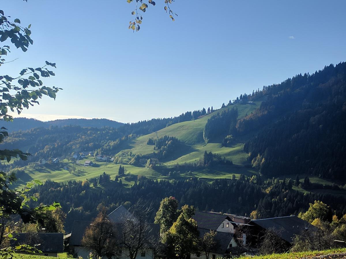 Gostisce In Penzion Stari Vrh Poljane nad Škofjo Loko Zewnętrze zdjęcie